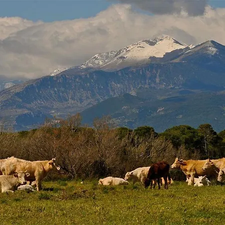 Διαμέρισμα Con Il Giardino A Sibari, Calabria *