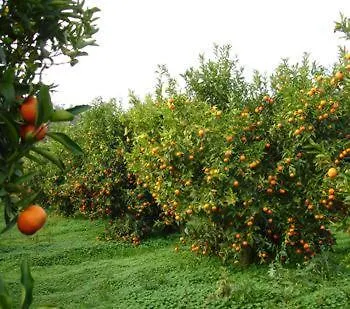 Con Il Giardino A Sibari, Calabria *